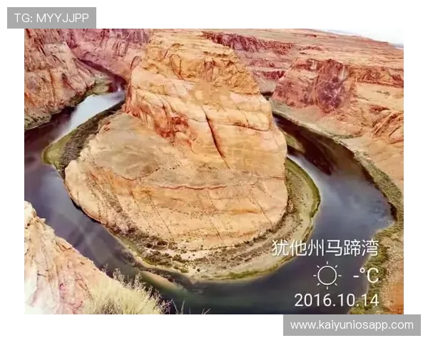 探秘开云体育入口官网的独特功能与服务优势